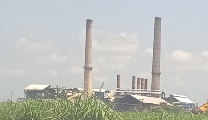 2dbf12ca-d834-4f79-ac25-4858ac263363